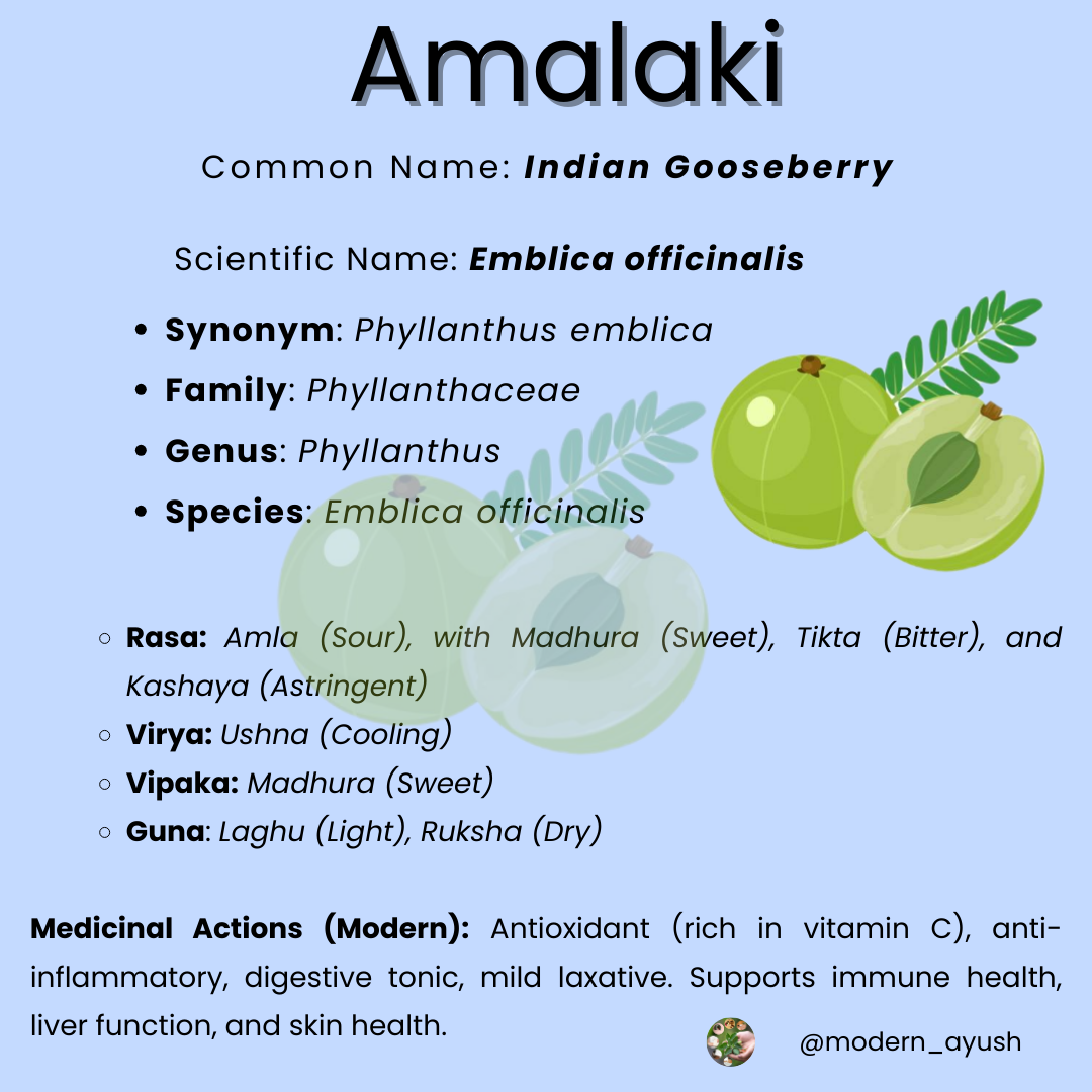 Amalaki 