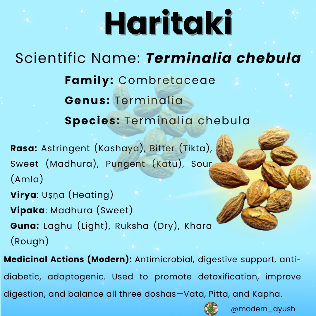 Haritaki 