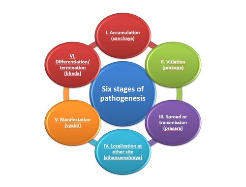 Shat Kriyakala: Understanding 6  Stage of Disease Progression in Ayurveda and Its Modern Relevance