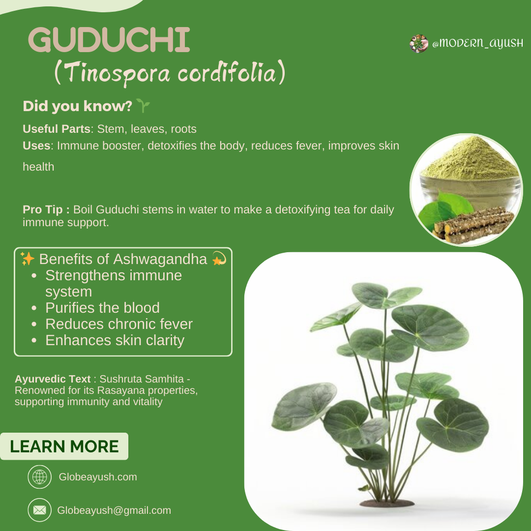 Guduchi 