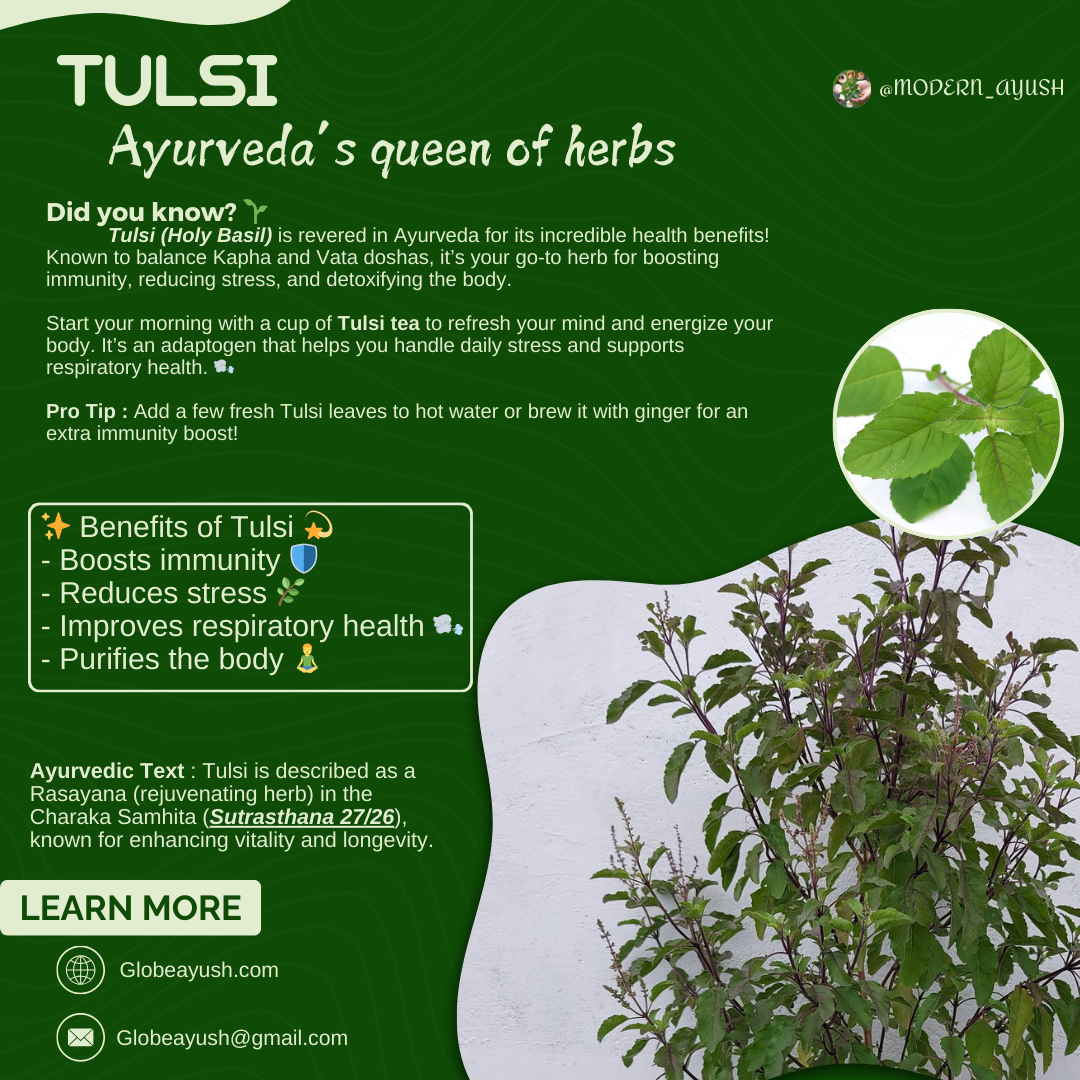 Tulsi 