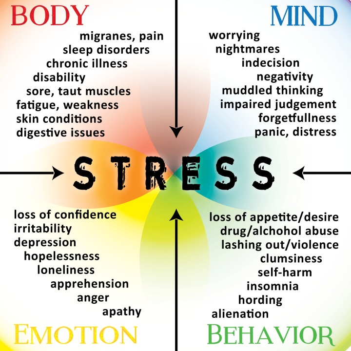 Stress Relief and Mental Wellness: Understanding Causes, Effects, and Effective Strategies